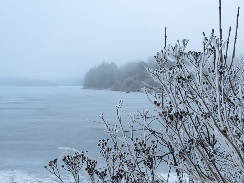 Vinterlandskap ved sjø. Foto