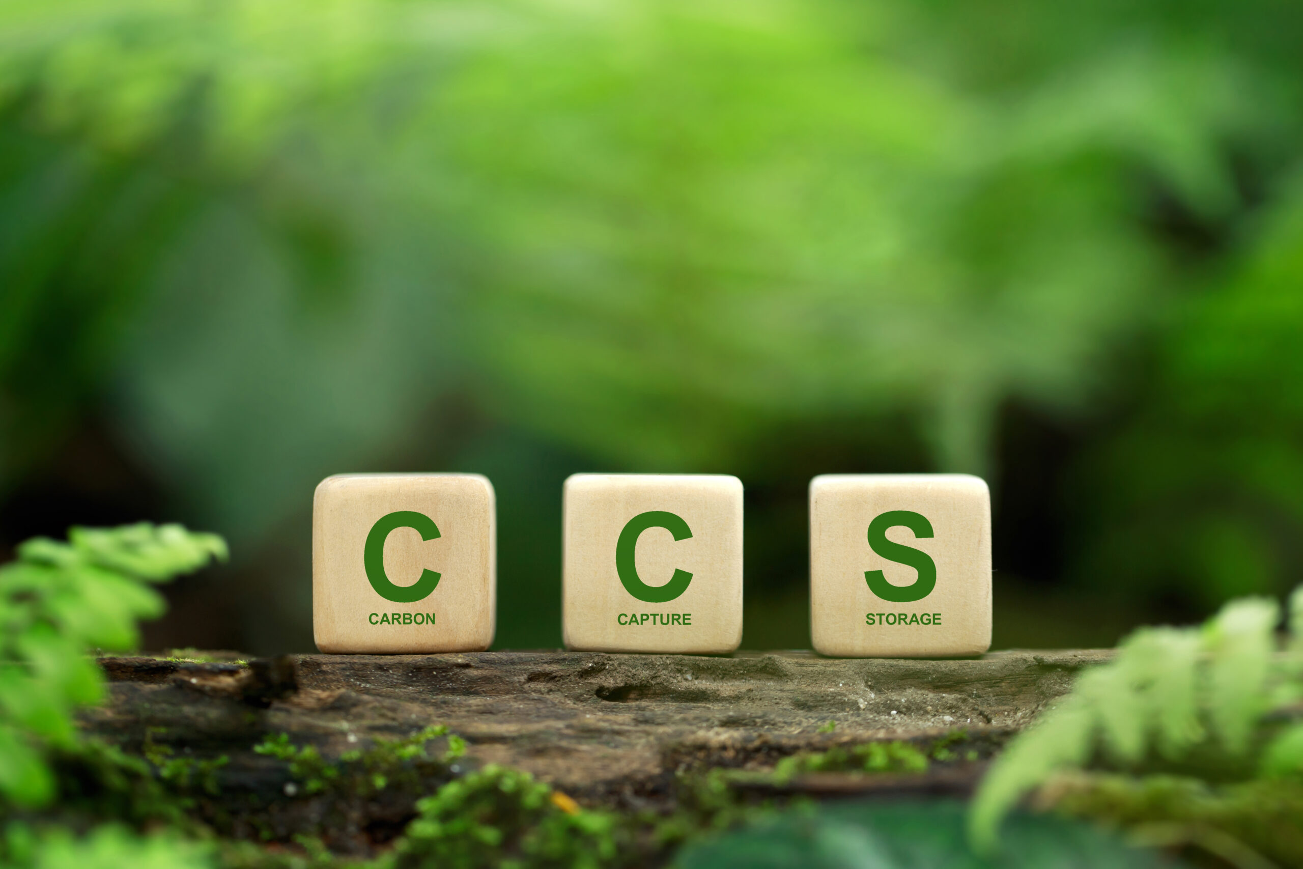 CCS skrevet på tre brikker. Foto