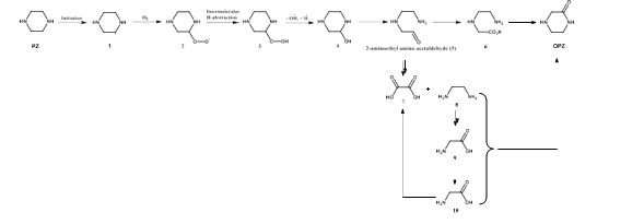 Fig. 4. Intermolecular H-abstraction pathway for the degradation of PZ