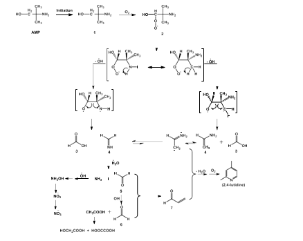 Fig. 8. AMP degradation pathway via peroxyl radical mechanisms adapted from Wang et al. [7,8]