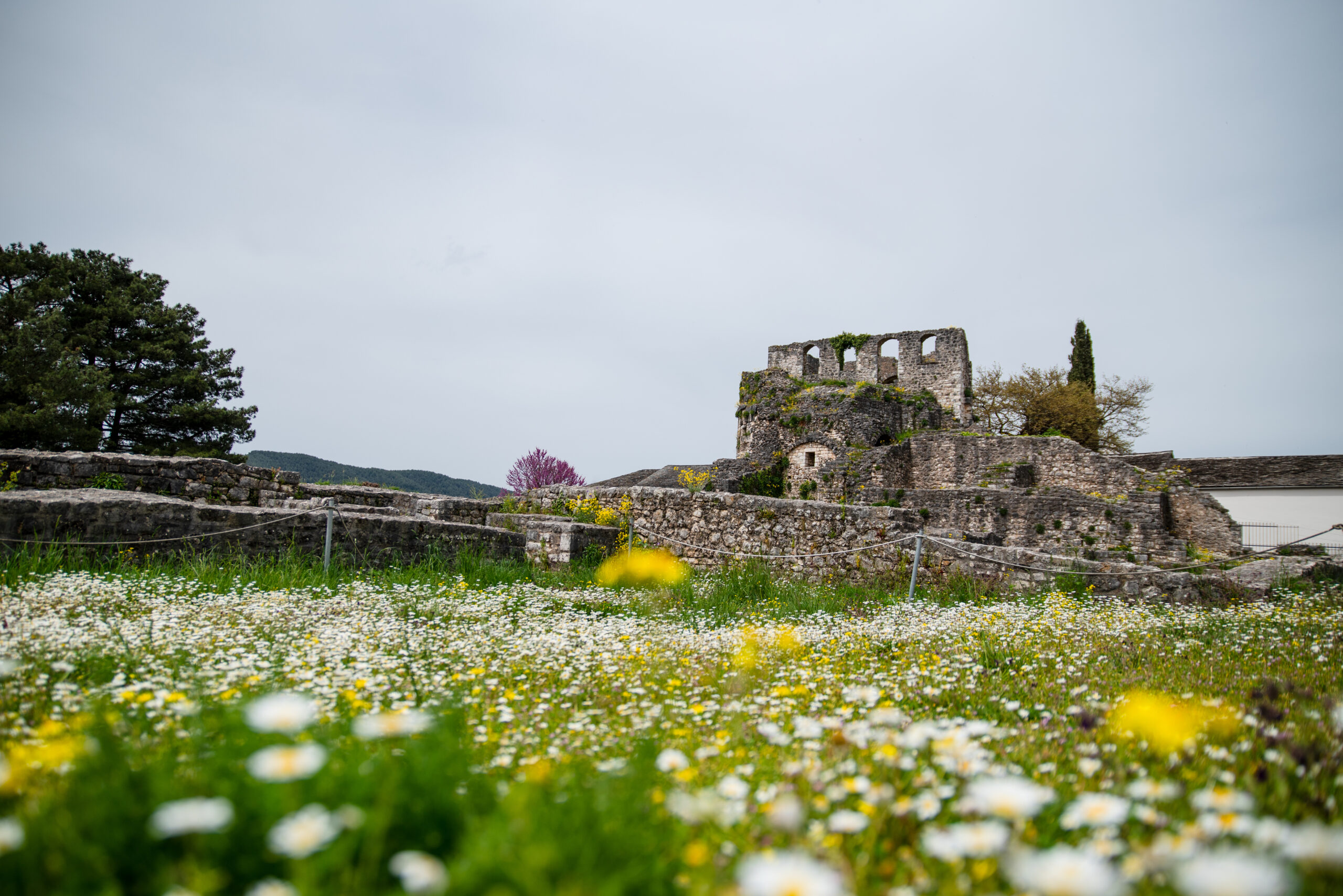 Vårlandskap med ruiner fra middelalderens ottomanske festning i hovedstaden i Epirus-regionen; Ioannina i Hellas. Foto