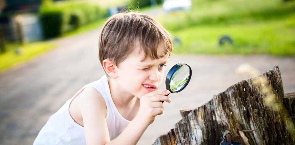 Climate changes - little boy looks at a tree trunk through a magnifying glass
